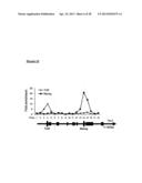 METHODS OF ENHANCING PLURIPOTENTCY diagram and image