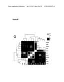 METHODS OF ENHANCING PLURIPOTENTCY diagram and image