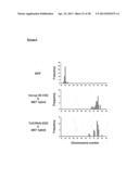 METHODS OF ENHANCING PLURIPOTENTCY diagram and image