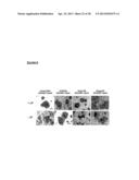 METHODS OF ENHANCING PLURIPOTENTCY diagram and image