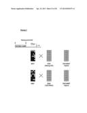 METHODS OF ENHANCING PLURIPOTENTCY diagram and image