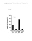 METHODS OF ENHANCING PLURIPOTENTCY diagram and image