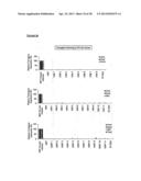 METHODS OF ENHANCING PLURIPOTENTCY diagram and image