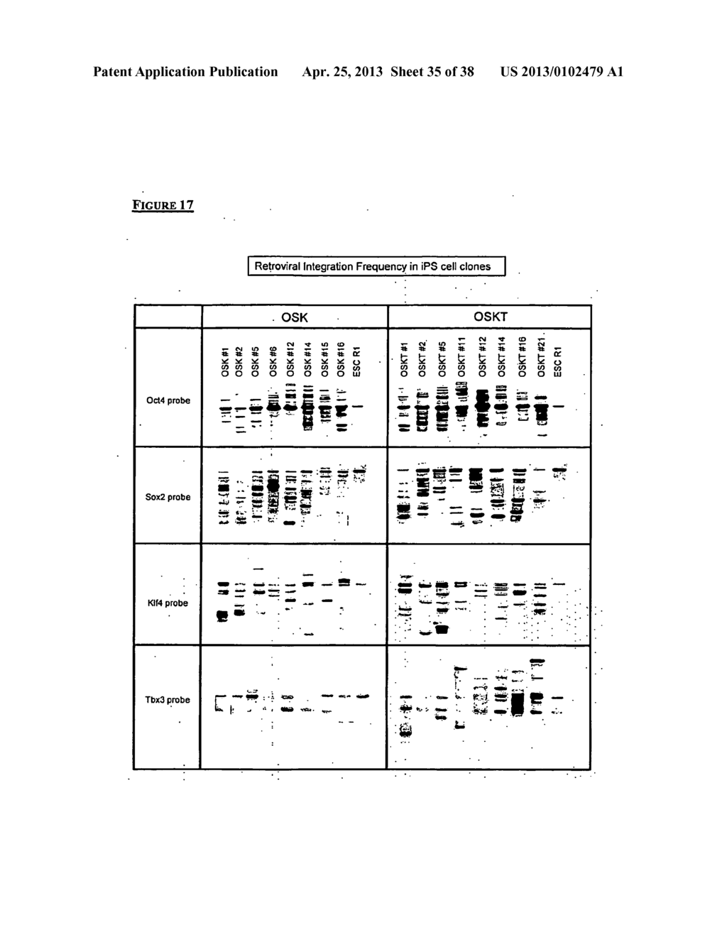 METHODS OF ENHANCING PLURIPOTENTCY - diagram, schematic, and image 36