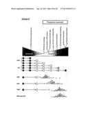 METHODS OF ENHANCING PLURIPOTENTCY diagram and image