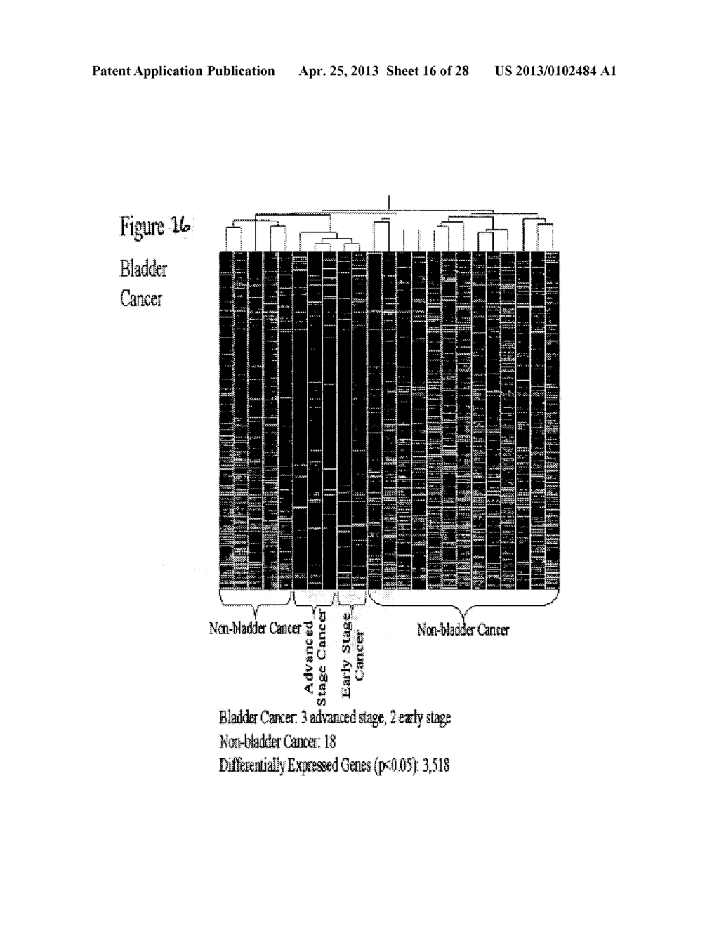 METHOD FOR THE DETECTION OF GENE TRANSCRIPTS IN BLOOD AND USES THEREOF - diagram, schematic, and image 17