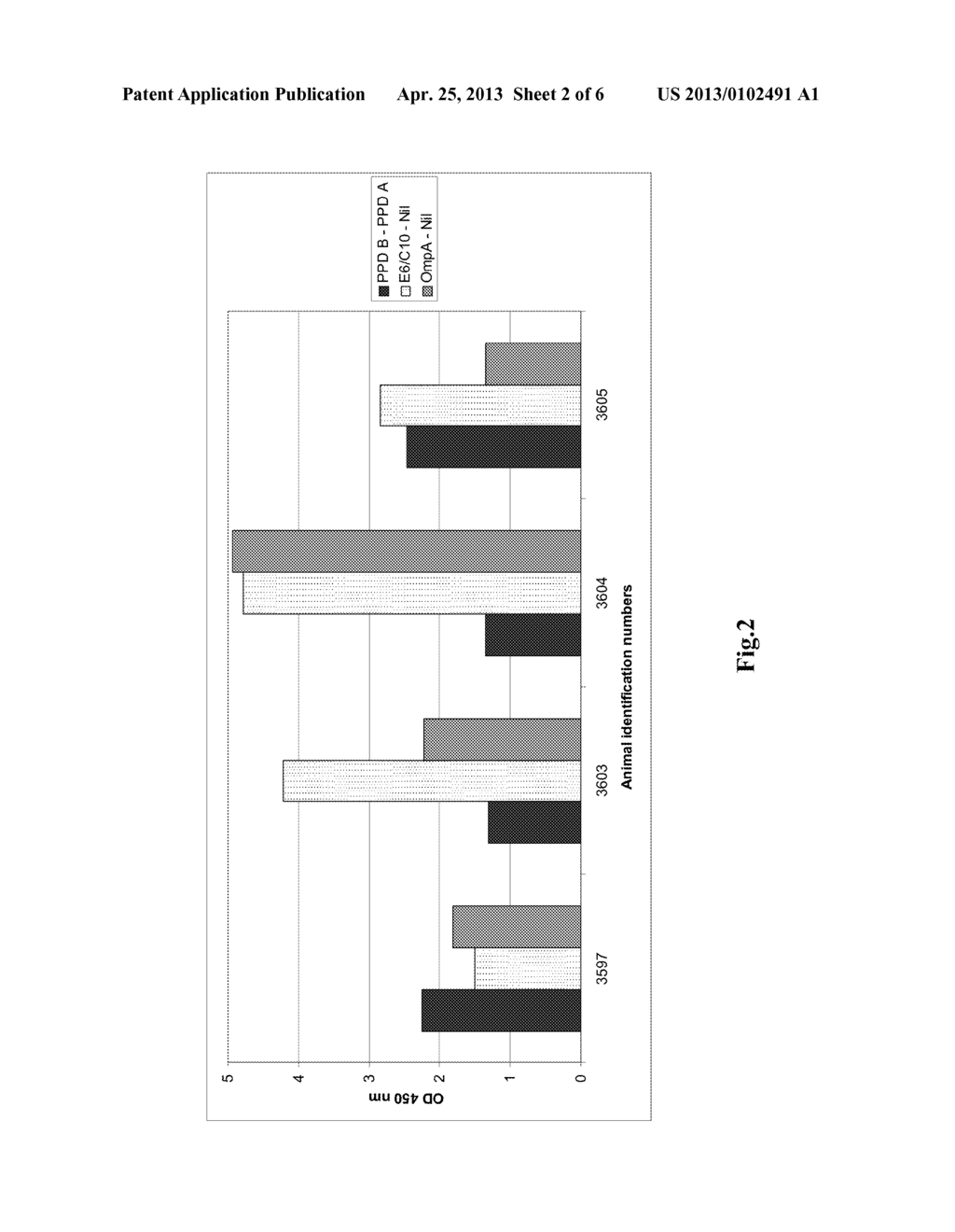 METHOD FOR THE DIAGNOSIS OF TUBERCULOSIS - diagram, schematic, and image 03