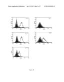 NOVEL ANTIBODY FOR THE DIAGNOSIS AND/OR PROGNOSIS OF CANCER diagram and image