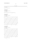 NOVEL ANTIBODY FOR THE DIAGNOSIS AND/OR PROGNOSIS OF CANCER diagram and image