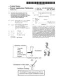 METHOD FOR DETERMINATION OF ACTIVITY OF MITOCHONDRIAL DNA POLYMERASE OF     FALCIPARUM MALARIA, AND METHOD FOR SCREENING FOR ANTI-MALARIA COMPOUND diagram and image