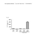 METHOD FOR DETERMINATION OF ACTIVITY OF MITOCHONDRIAL DNA POLYMERASE OF     FALCIPARUM MALARIA, AND METHOD FOR SCREENING FOR ANTI-MALARIA COMPOUND diagram and image