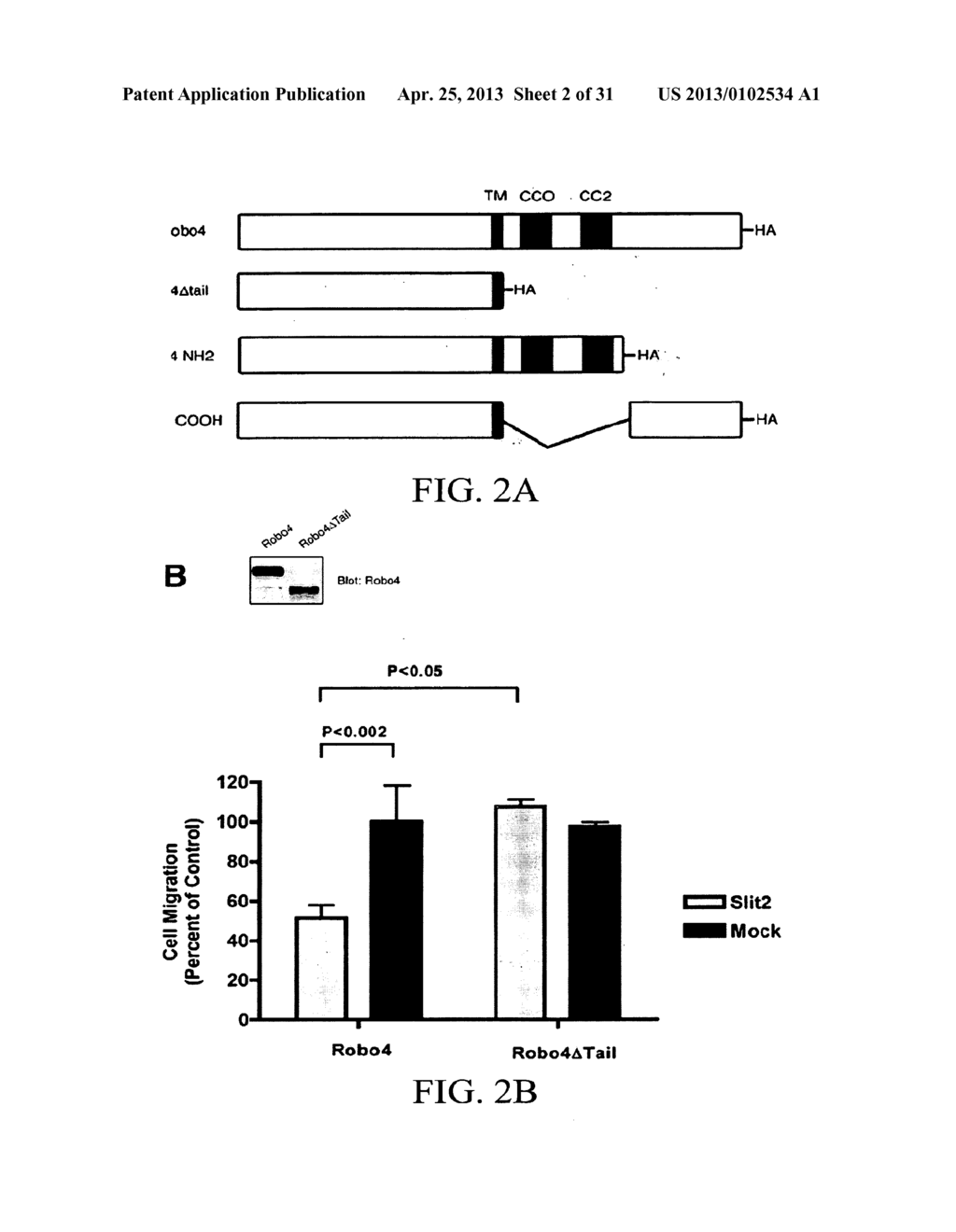 COMPOSITIONS AND METHODS FOR TREATING PATHOLOGIC ANGIOGENESIS AND VASCULAR     PERMEABILITY - diagram, schematic, and image 03