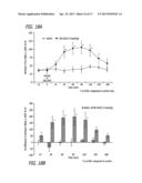 METHODS, COMPOSITIONS AND ARTICLES OF MANUFACTURE FOR CONTRIBUTING TO THE     TREATMENT OF CANCERS diagram and image