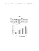 Use of N1,N4-bis[3-(Ethylamino)Propyl]-2-Butene-1,4-Diamine Compounds in     Combination with Epigenetic-Acting Pharmaceuticals for Enhanced Cancer     Therapy diagram and image