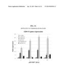 Use of N1,N4-bis[3-(Ethylamino)Propyl]-2-Butene-1,4-Diamine Compounds in     Combination with Epigenetic-Acting Pharmaceuticals for Enhanced Cancer     Therapy diagram and image