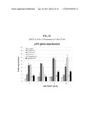 Use of N1,N4-bis[3-(Ethylamino)Propyl]-2-Butene-1,4-Diamine Compounds in     Combination with Epigenetic-Acting Pharmaceuticals for Enhanced Cancer     Therapy diagram and image