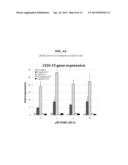 Use of N1,N4-bis[3-(Ethylamino)Propyl]-2-Butene-1,4-Diamine Compounds in     Combination with Epigenetic-Acting Pharmaceuticals for Enhanced Cancer     Therapy diagram and image