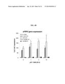 Use of N1,N4-bis[3-(Ethylamino)Propyl]-2-Butene-1,4-Diamine Compounds in     Combination with Epigenetic-Acting Pharmaceuticals for Enhanced Cancer     Therapy diagram and image