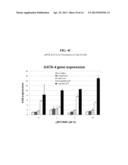 Use of N1,N4-bis[3-(Ethylamino)Propyl]-2-Butene-1,4-Diamine Compounds in     Combination with Epigenetic-Acting Pharmaceuticals for Enhanced Cancer     Therapy diagram and image