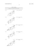 Steroids Having Increased Water Solubility and Resistance Against     Metabolism and Methods For Their Production diagram and image