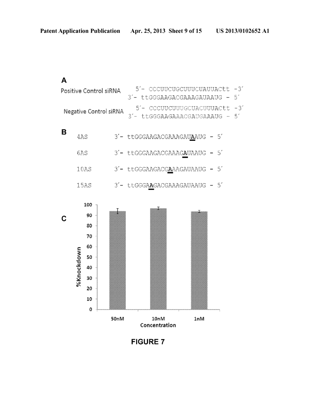 METHODS AND COMPOSITIONS RELATED TO MODIFIED ADENOSINES FOR CONTROLLING     OFF-TARGET EFFECTS IN RNA INTERFERENCE - diagram, schematic, and image 10