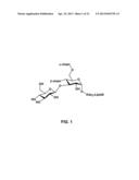 Synthetic Oligosaccharides for Moraxella Vaccine diagram and image