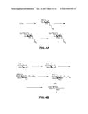 Synthetic Oligosaccharides for Moraxella Vaccine diagram and image