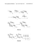 Synthetic Oligosaccharides for Moraxella Vaccine diagram and image