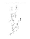 Synthetic Oligosaccharides for Moraxella Vaccine diagram and image