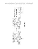 Synthetic Oligosaccharides for Moraxella Vaccine diagram and image