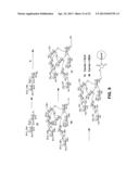 Synthetic Oligosaccharides for Moraxella Vaccine diagram and image