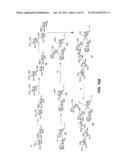 Synthetic Oligosaccharides for Moraxella Vaccine diagram and image