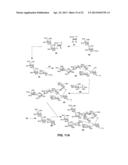 Synthetic Oligosaccharides for Moraxella Vaccine diagram and image