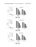 Synthetic Oligosaccharides for Moraxella Vaccine diagram and image