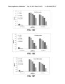 Synthetic Oligosaccharides for Moraxella Vaccine diagram and image