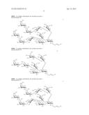 Synthetic Oligosaccharides for Moraxella Vaccine diagram and image