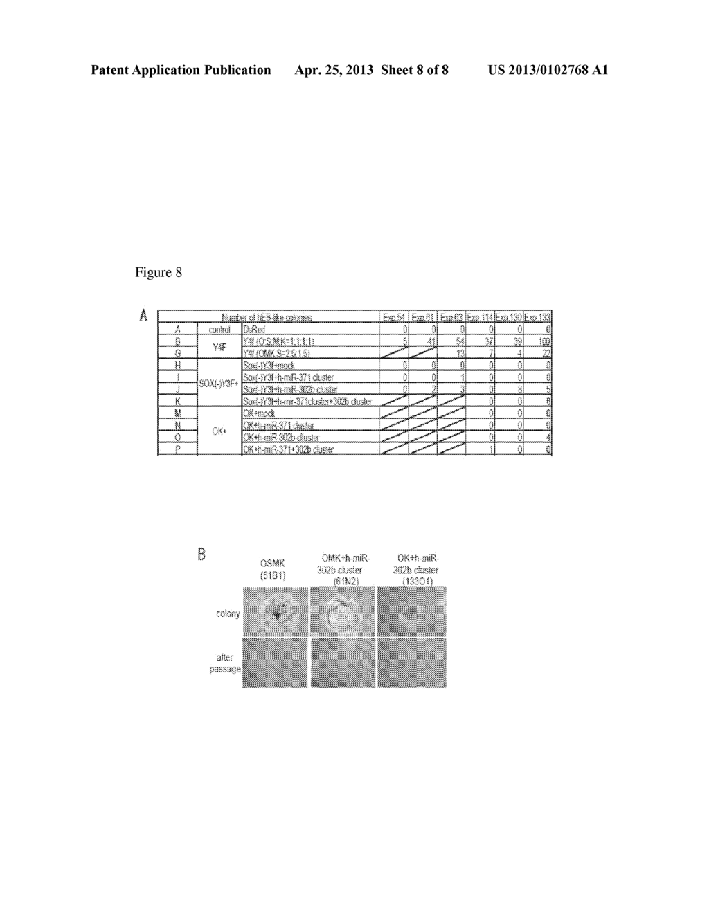 EFFICIENT METHOD FOR NUCLEAR REPROGRAMMING - diagram, schematic, and image 09