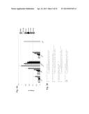 INTERFERING RNA MOLECULES diagram and image