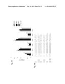 INTERFERING RNA MOLECULES diagram and image