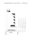 INTERFERING RNA MOLECULES diagram and image