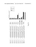 INTERFERING RNA MOLECULES diagram and image