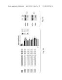 INTERFERING RNA MOLECULES diagram and image