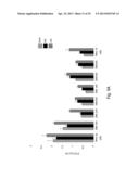 INTERFERING RNA MOLECULES diagram and image