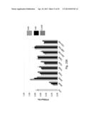 INTERFERING RNA MOLECULES diagram and image