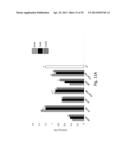 INTERFERING RNA MOLECULES diagram and image