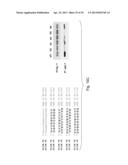 INTERFERING RNA MOLECULES diagram and image