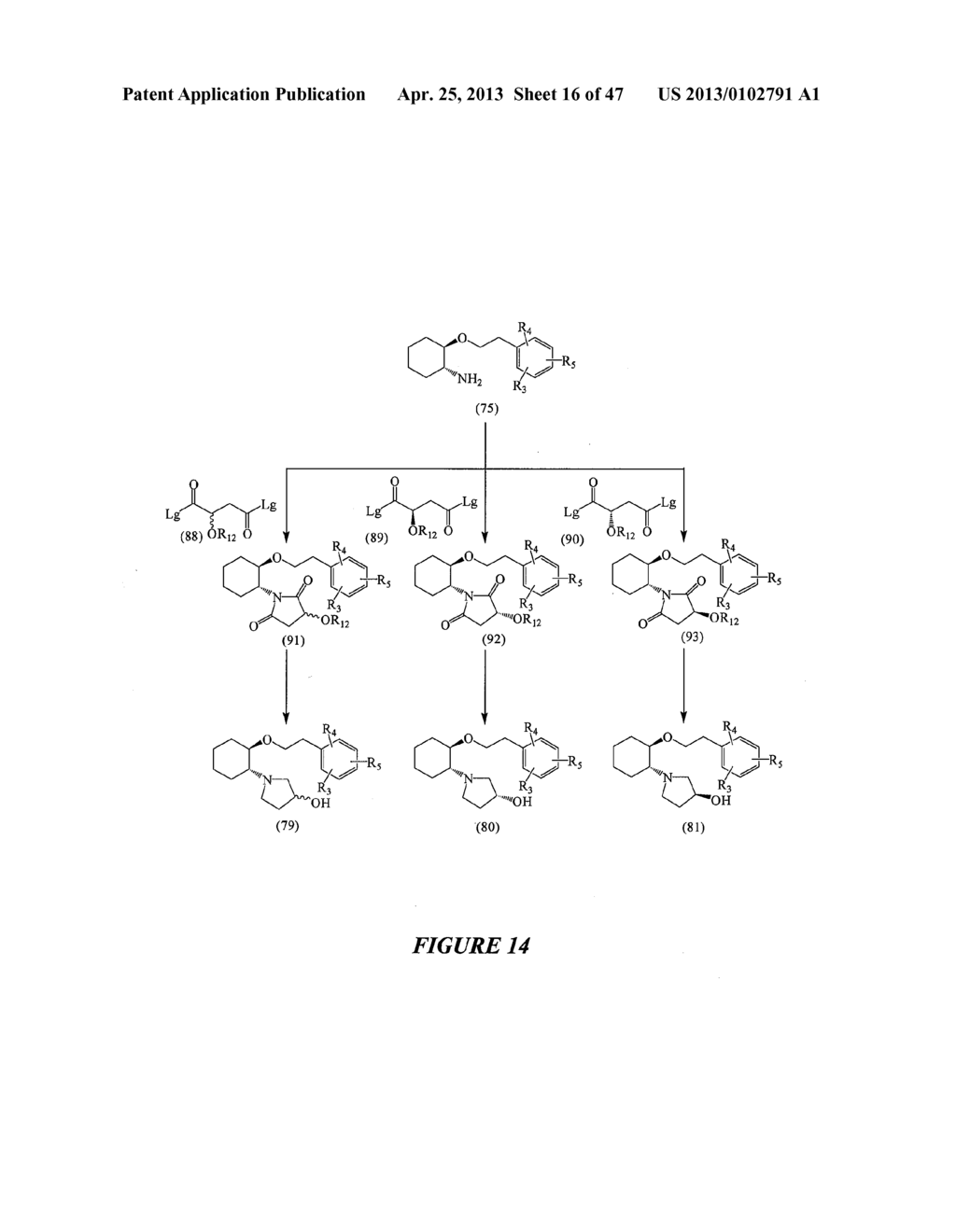 SYNTHETIC PROCESS FOR AMINOCYCLOHEXYL ETHER COMPOUNDS - diagram, schematic, and image 17