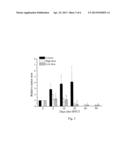 METHOD FOR TREATING OSTEOSARCOMA BY BORON NEUTRON CAPTURE THERAPY USING     BORIC ACID AS A BORON DRUG diagram and image