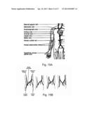 MODELING OF PHARMACEUTICAL PROPAGATION diagram and image