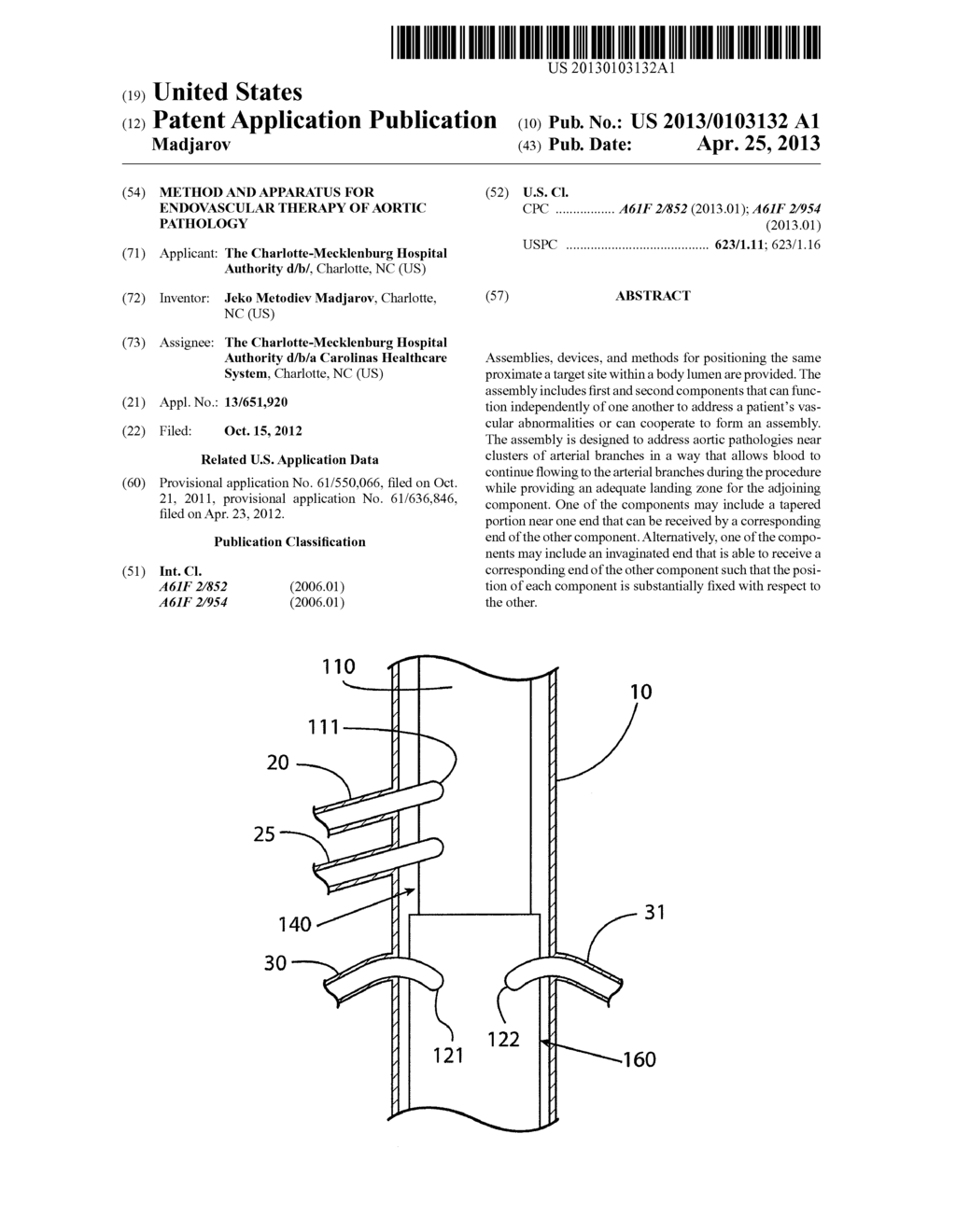 METHOD AND APPARATUS FOR ENDOVASCULAR THERAPY OF AORTIC PATHOLOGY - diagram, schematic, and image 01